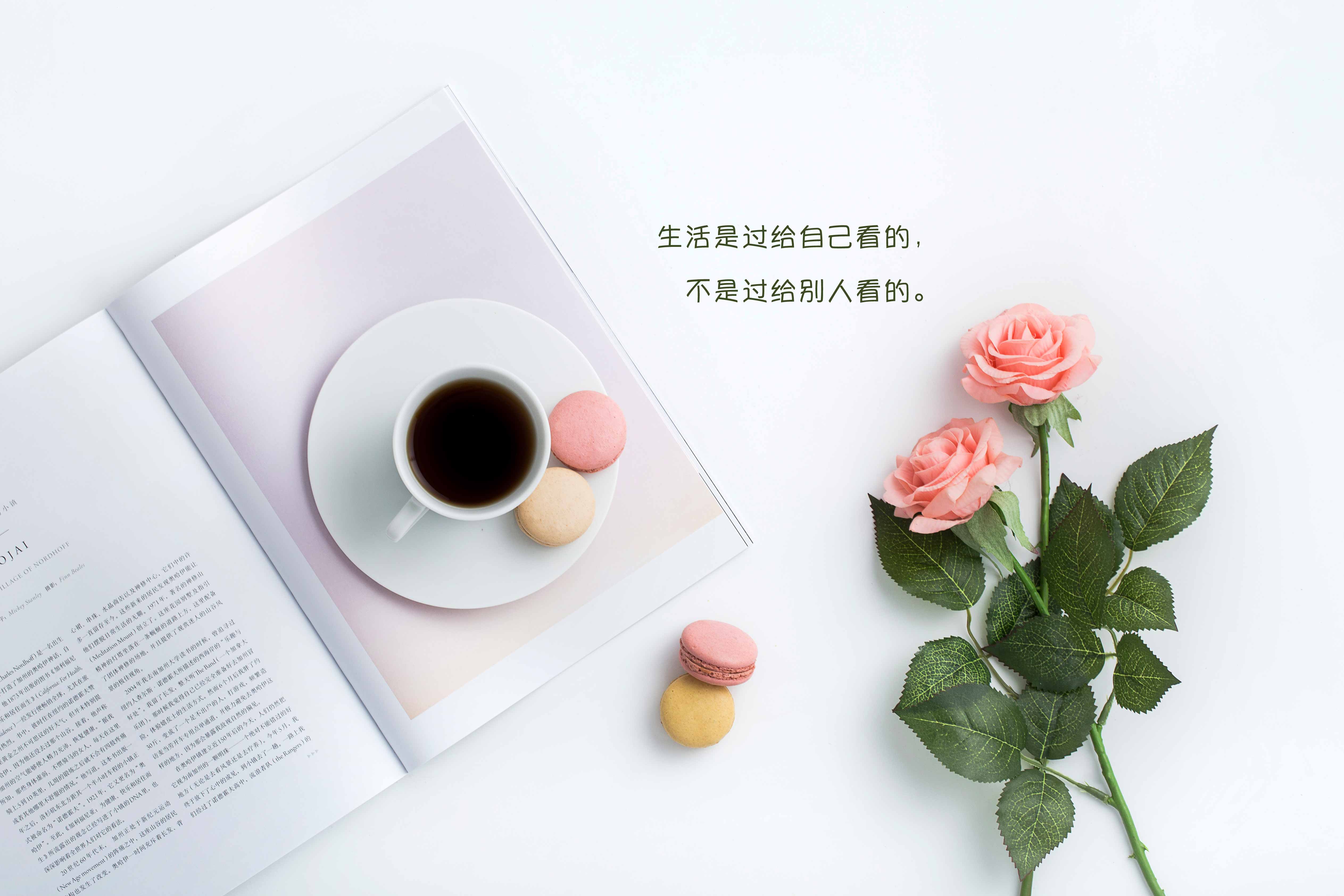 500507601.jpg 500507601.jpg